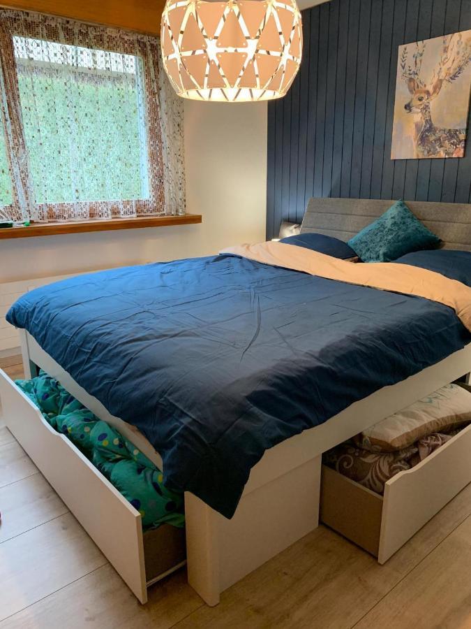 Roc D'Orsay E48 Apartment Leysin Ngoại thất bức ảnh
